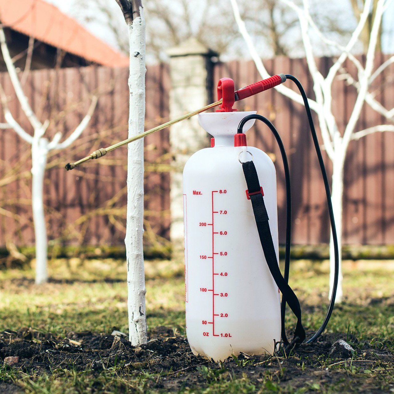 Pesticide — Jacksonville, FL — Pro Care Lawn & Pest Pesticide — Jacksonville, FL — Pro Care Lawn & Pest