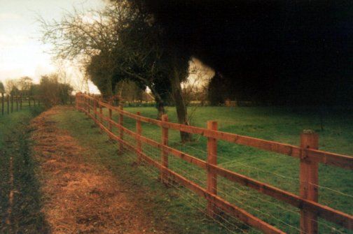 fences