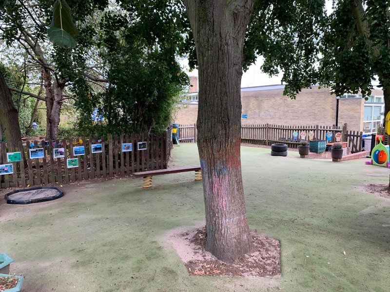 A tree in a grassy outdoor area with wooden benches and outdoor toys