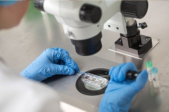 Plasma Therapy - Laboratory Works in Manchester, NH Plasma Therapy - Laboratory Works in Manchester, NH