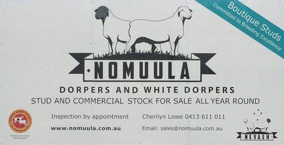 Nomuula billboard