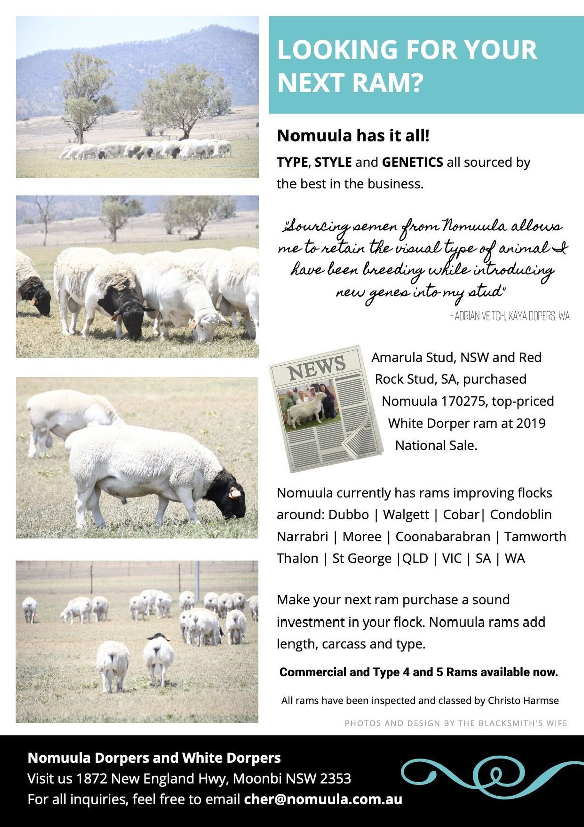 updated nomuula flyer