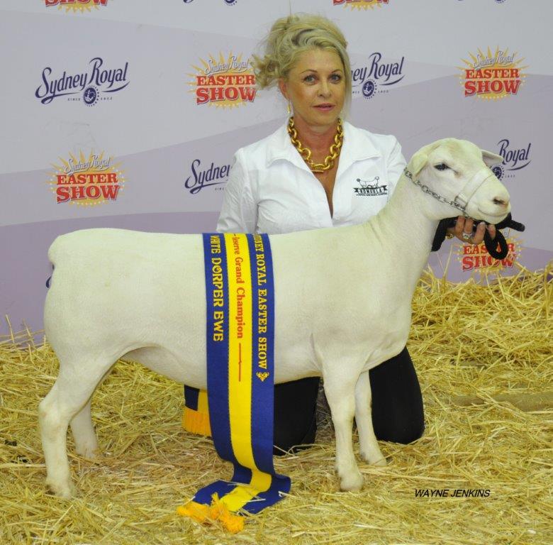 Woman and Sheep