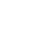 Icona di un fiore