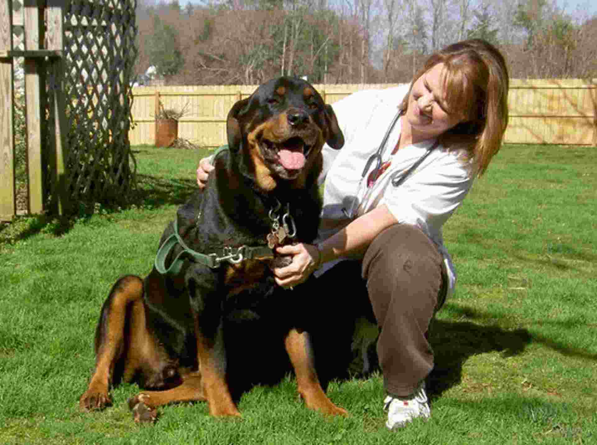 Veterinary clinic - Unicoi Animal Hospital in Erwin, TN Veterinary clinic - Unicoi Animal Hospital in Erwin, TN