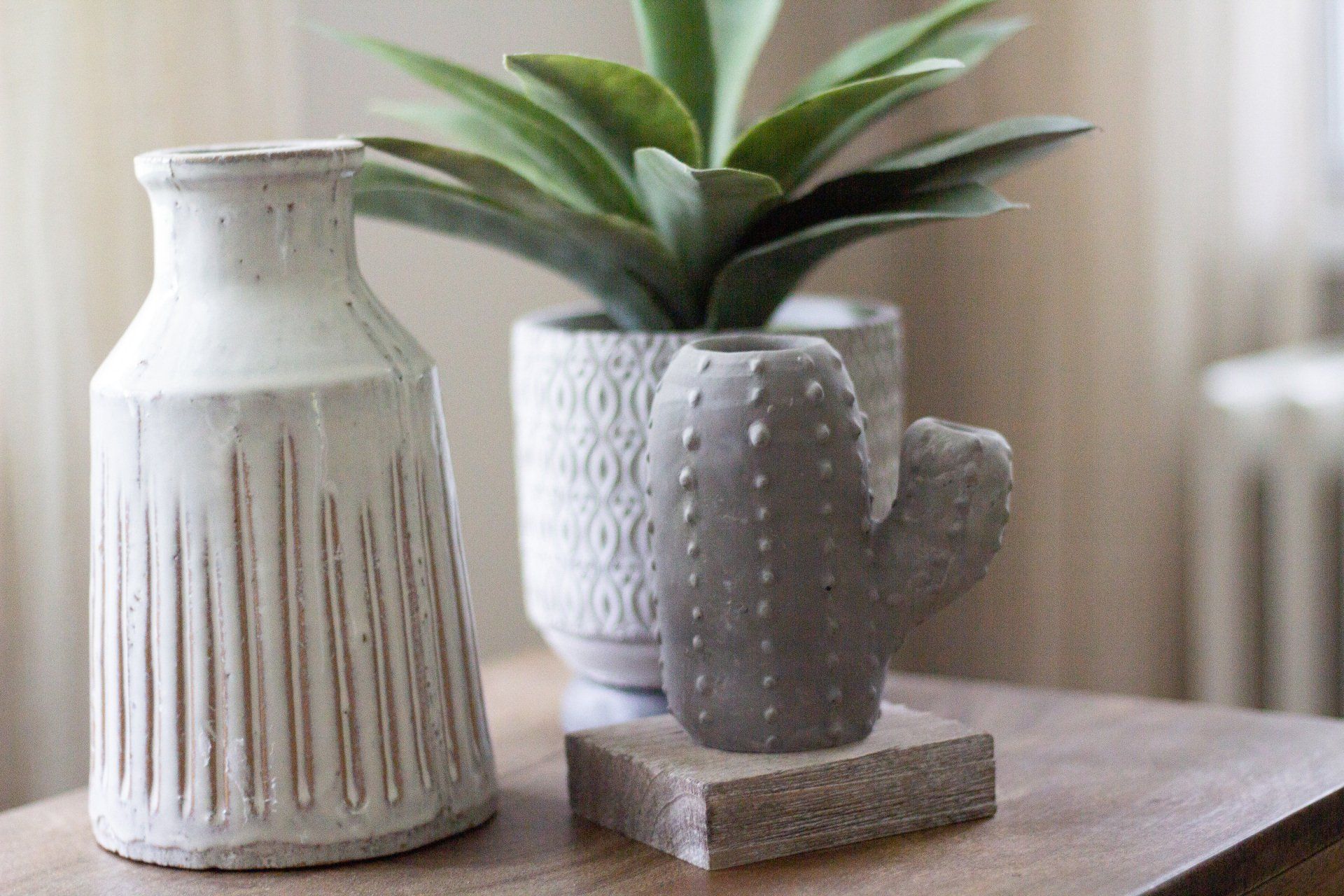 potted plant
