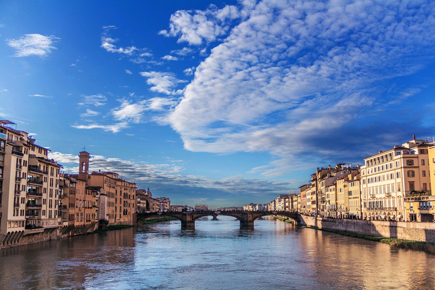 bridge and city