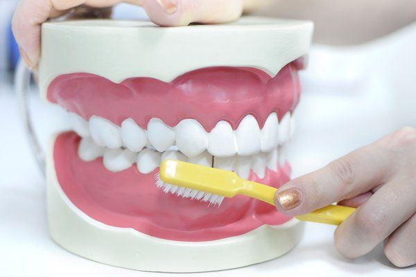Cosmetic Dentist — Dentist Teaching How to Clean a Teeth in Artificial Teeth in Saint Peters, MO Cosmetic Dentist — Dentist Teaching How to Clean a Teeth in Artificial Teeth in Saint Peters, MO
