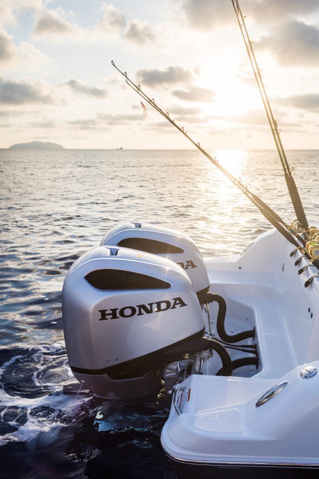 Motori e canne da pesca