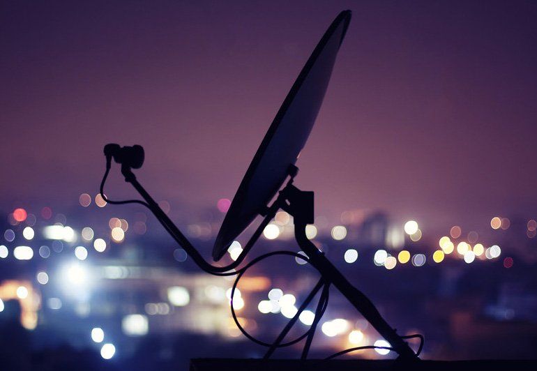 dish