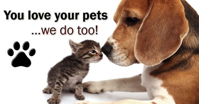 spm loves pets!