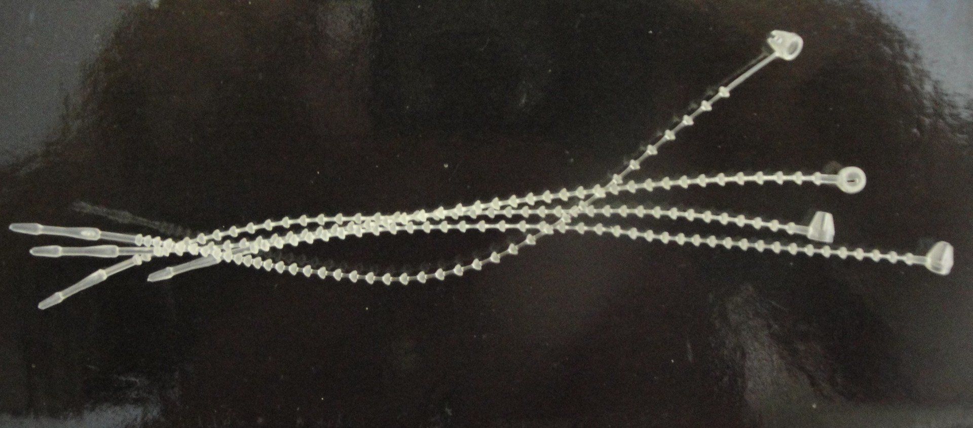 A black and white photo of a string of beads