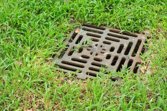 Drains — Port Richey, FL — Green Thumb Unlimited