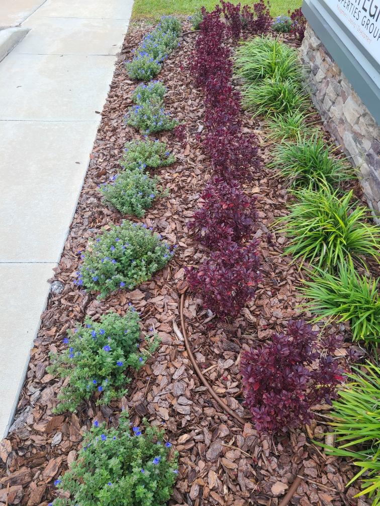 Flower Installation — Port Richey, FL — Green Thumb Unlimited