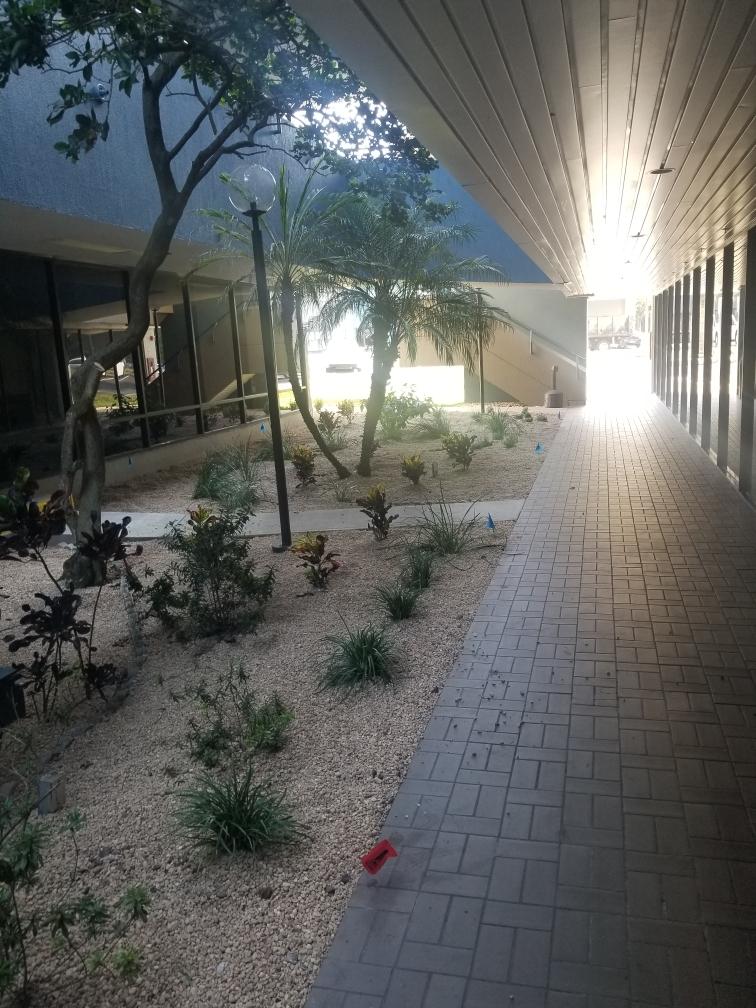 Plant Installation — Port Richey, FL — Green Thumb Unlimited