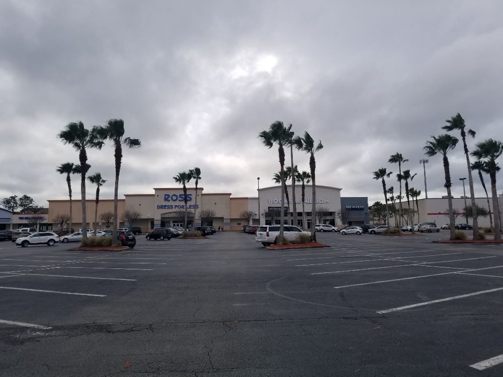 Palm Tree Trimming — Port Richey, FL — Green Thumb Unlimited