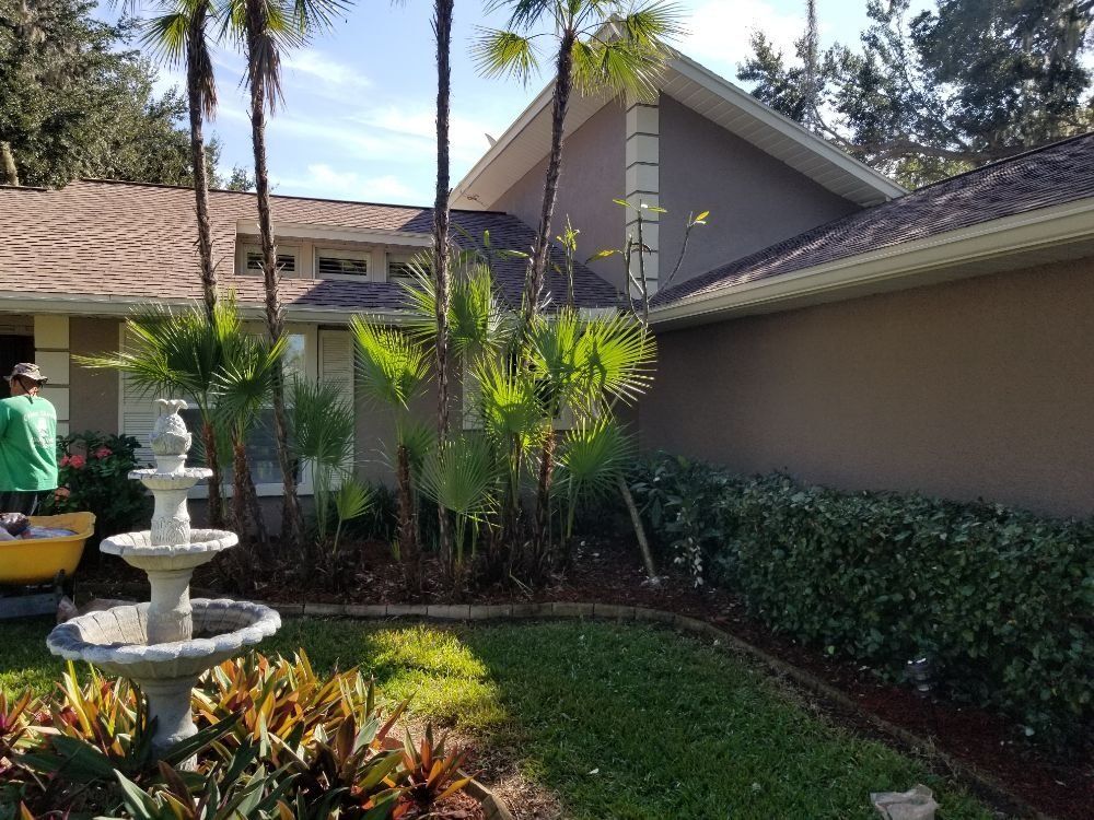 Trimming Palms — Port Richey, FL — Green Thumb Unlimited