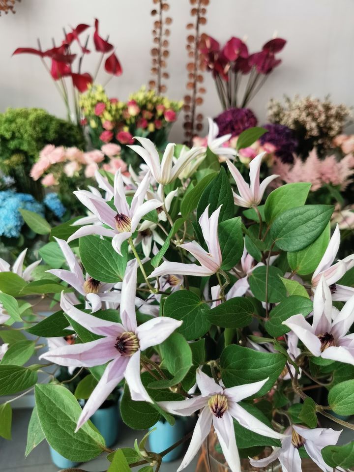 Fiori per composizioni personalizzate