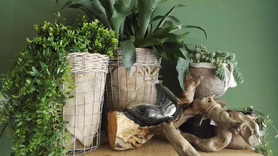 Cestini per piante