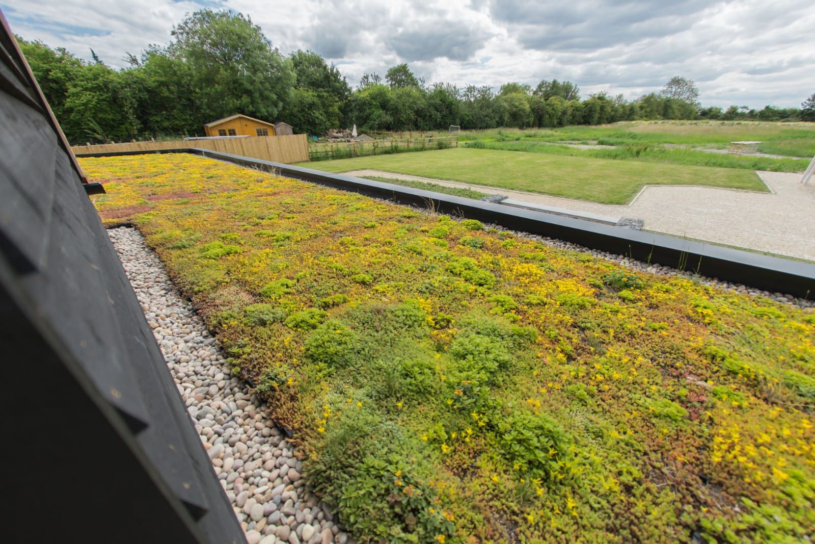 Green Roof, Cambridge, Cambridgeshire