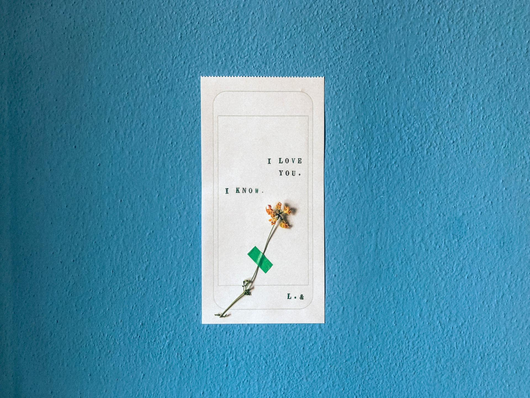 words on paper with a dried flower