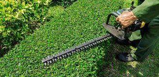 hedge trimming