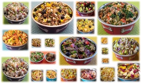 meal options for homemade dog food