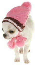 Female Chihuahua pink hat