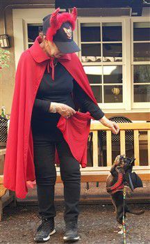 chihuahua-in-bat-costume -