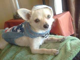 Cutie P Tuddies 