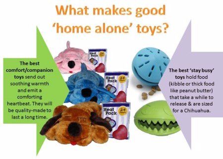 Best toys for a Chihuahua home alone