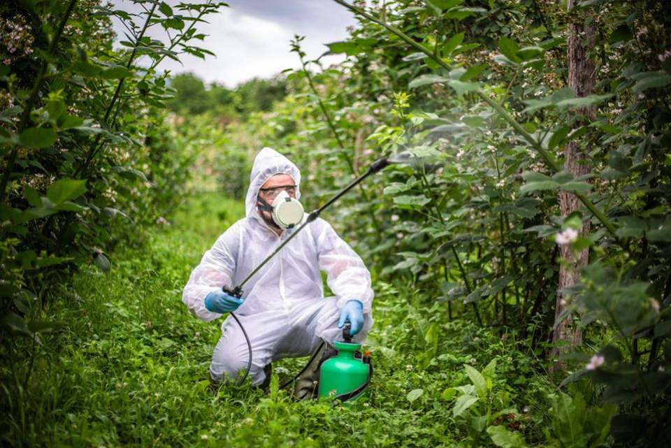 disinfestazione giardini e aree verdi