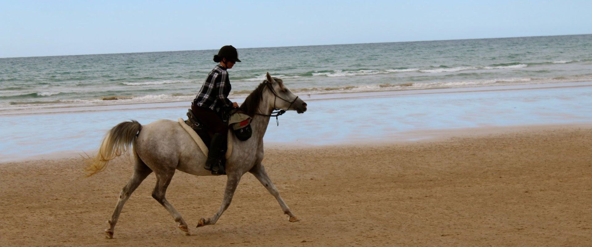 Girl riding a hourse