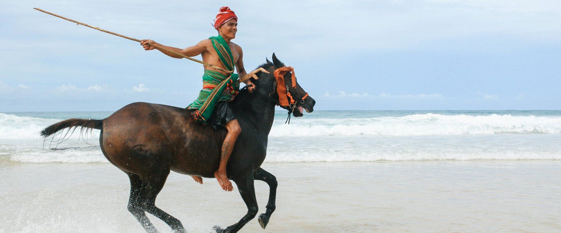 Wild about Hooves