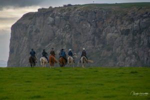 horse adventure