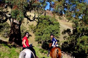 horse adventures