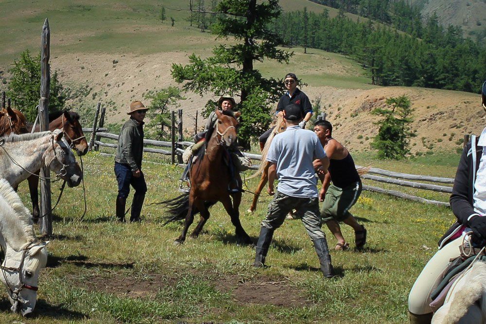 mongolia image