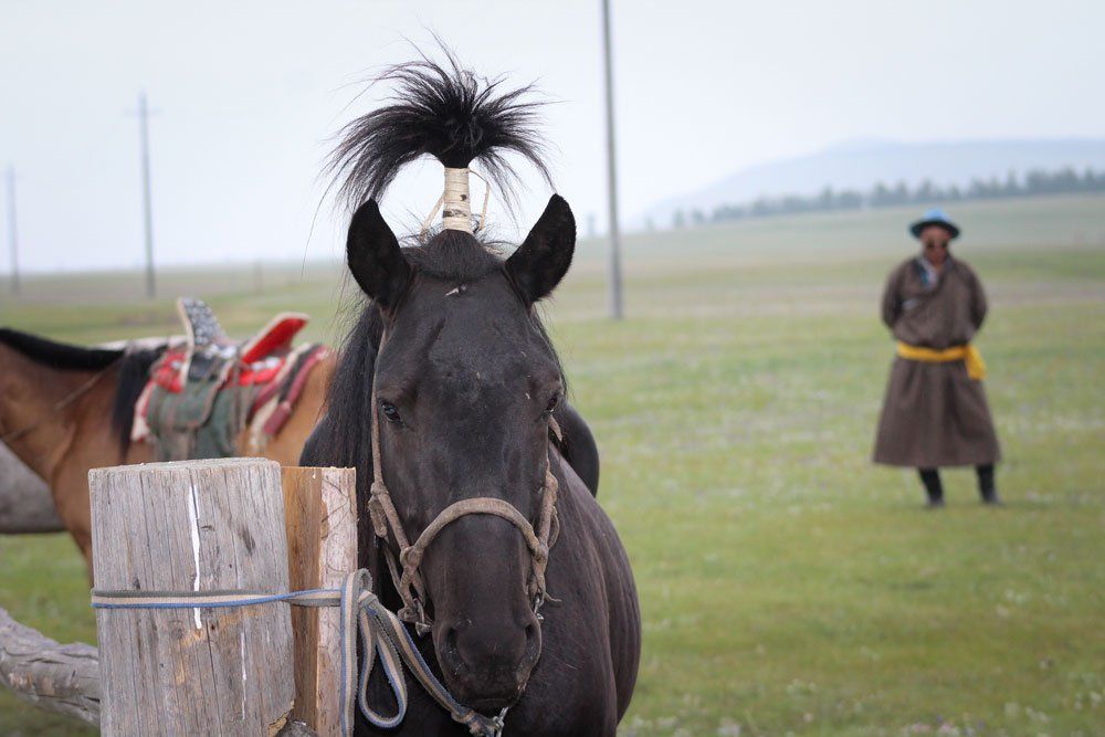 mongolia image