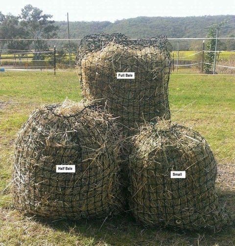 grass