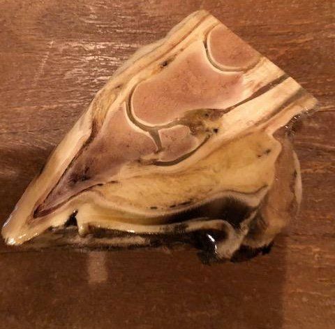 anatomical hoof