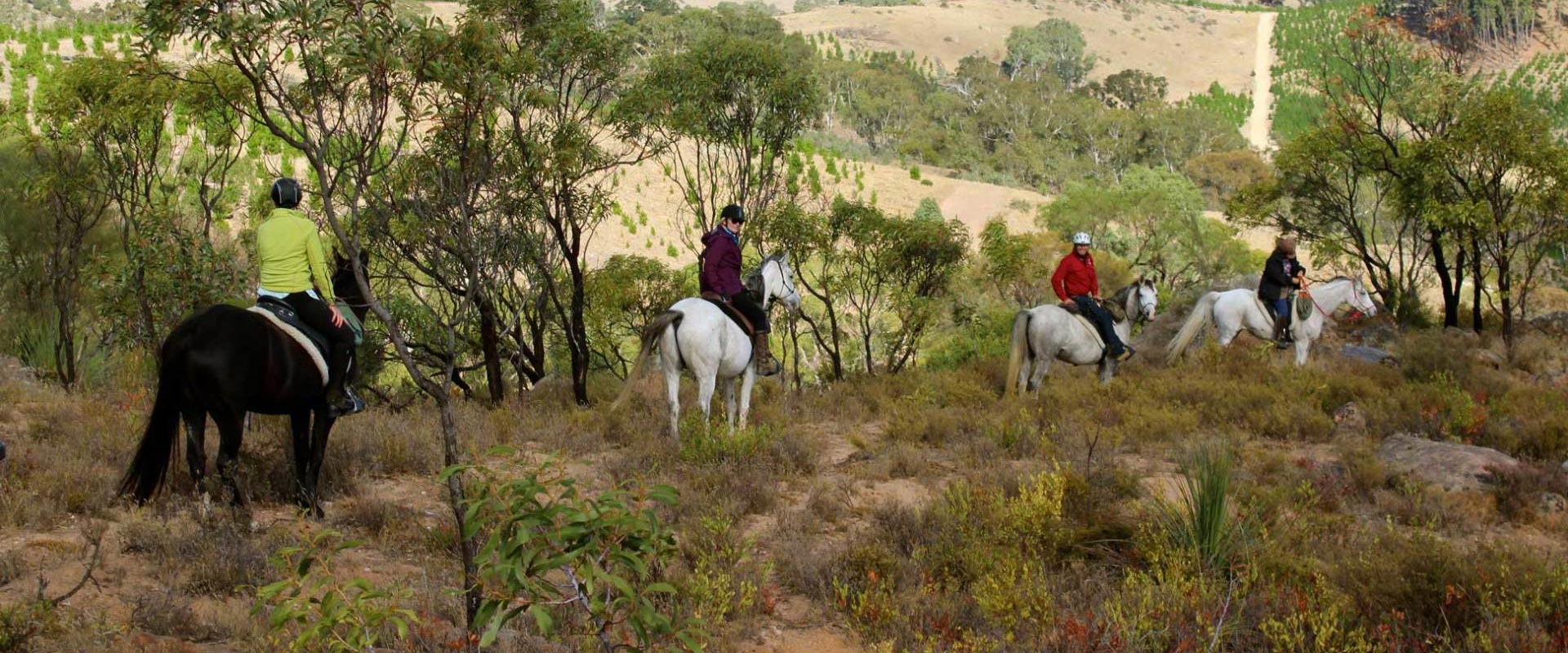 horse backride