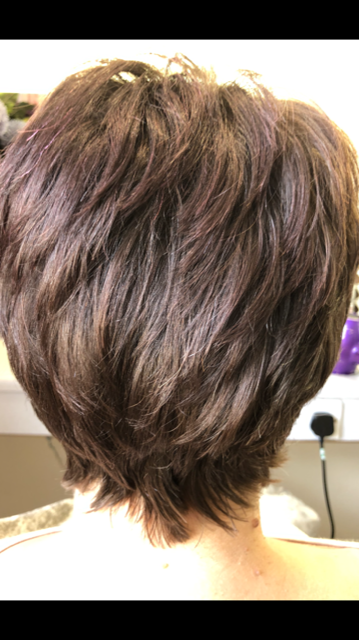 woman haircut back view