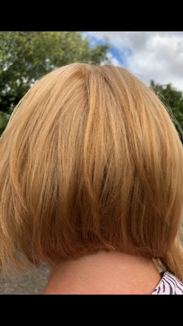 back view of short colored hair
