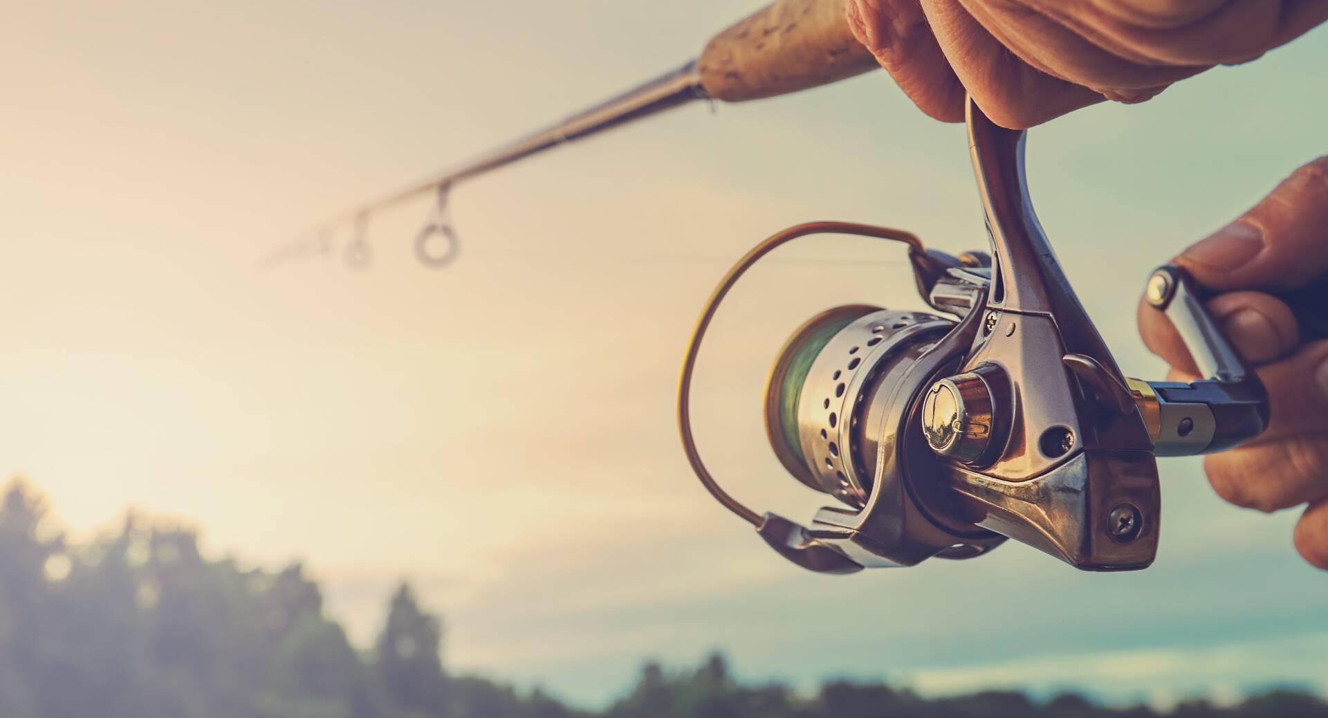Reels
