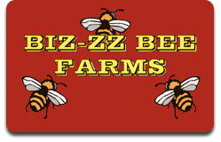 image-285744-Biz-zz_Bee_Logo.png?1437088412154