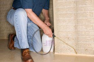 image-282817-78863-pest-control-services.jpg?1437088323406 image-282817-78863-pest-control-services.jpg?1437088323406