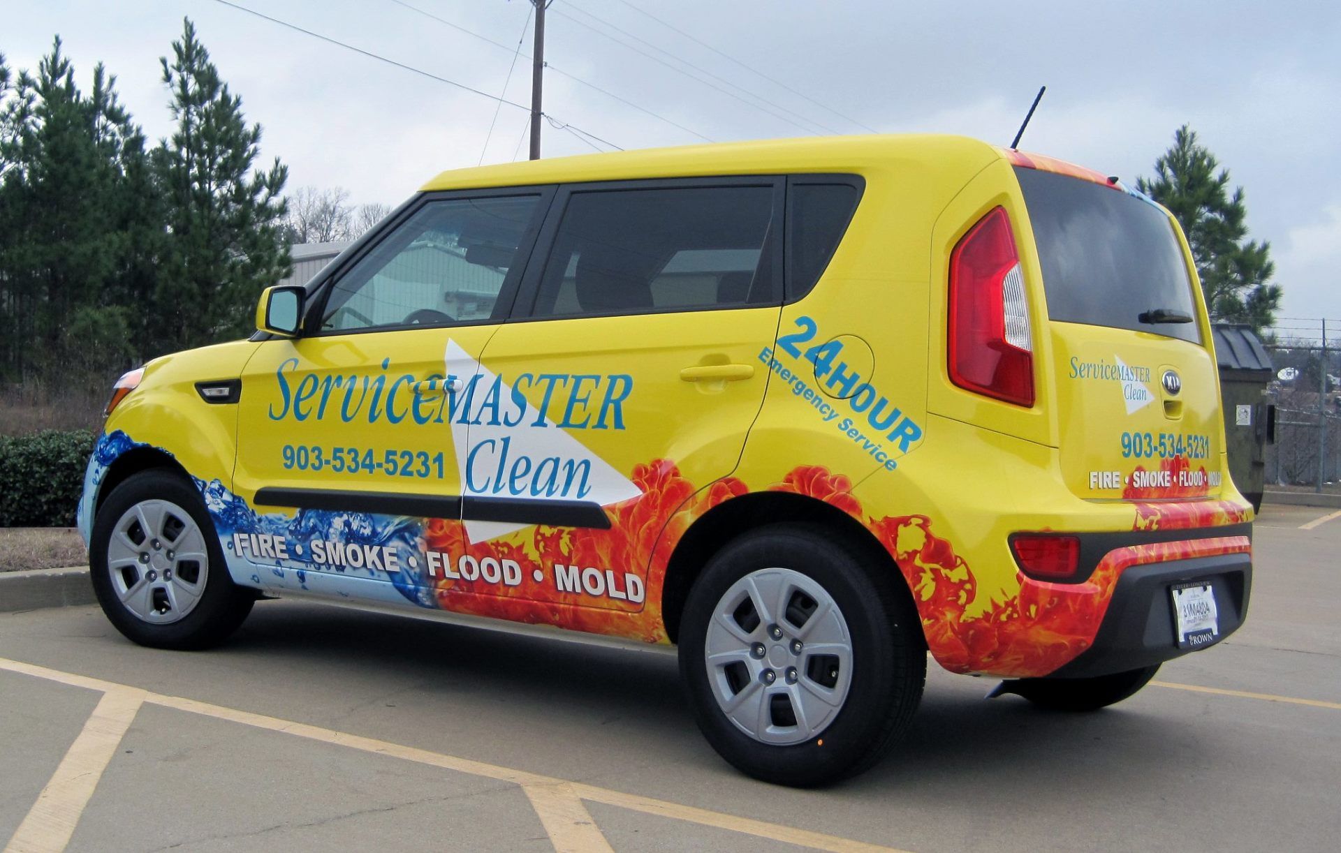 Car Vehicle Graphic