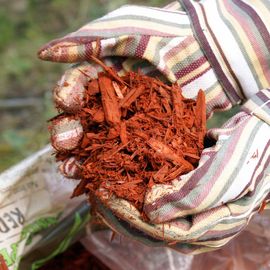 handful of red bark mulch