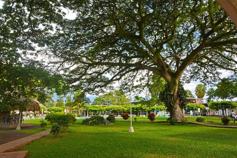 CLUB CAMPESTRE PALMIRA - Nuestras Instalaciones