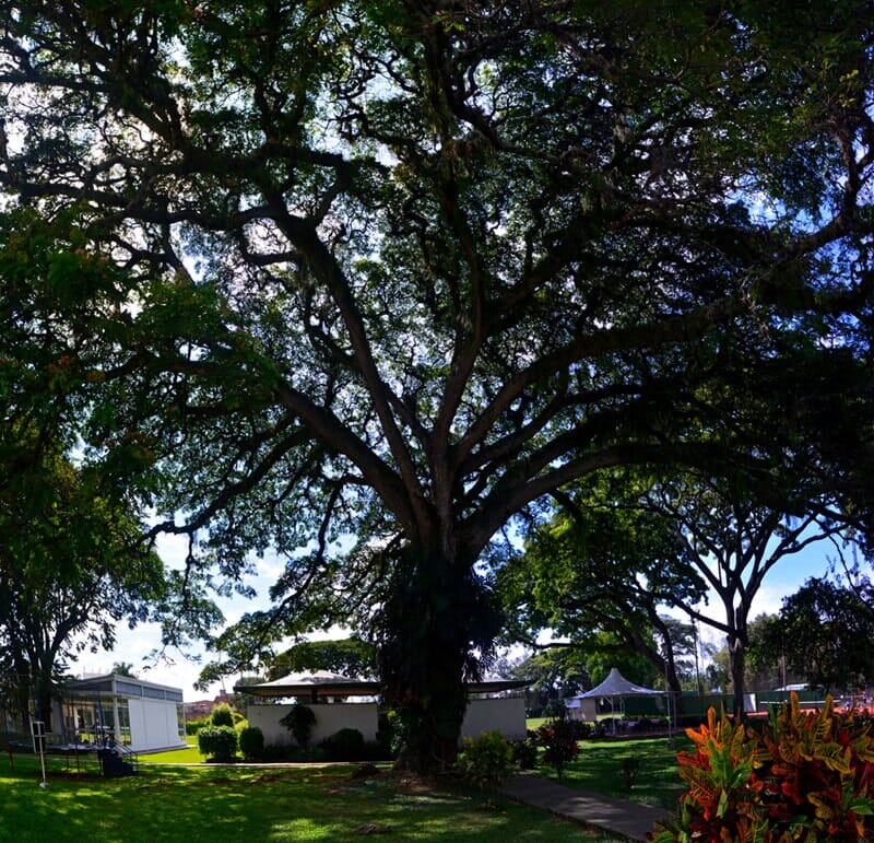 CLUB CAMPESTRE PALMIRA - Eventos Sociales